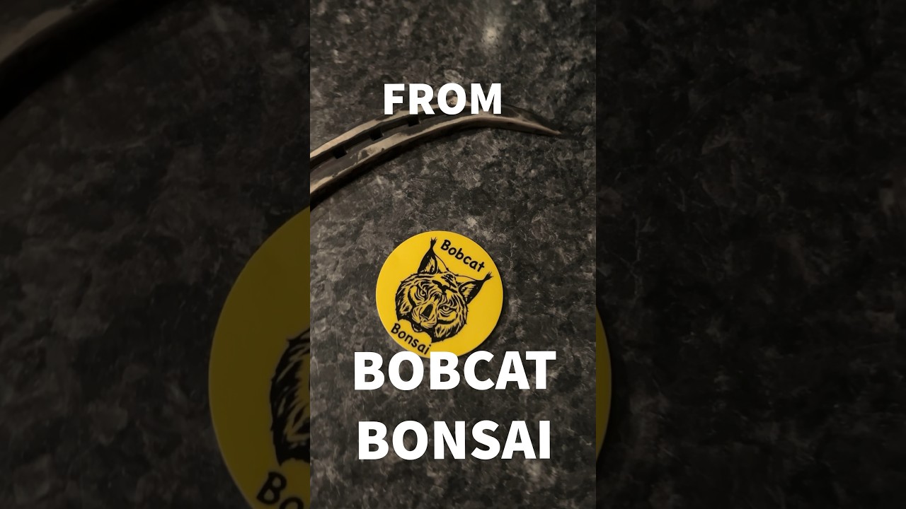 Look What Arrived (In Time For Christmas) #bonsai #bonsaitree #roothook