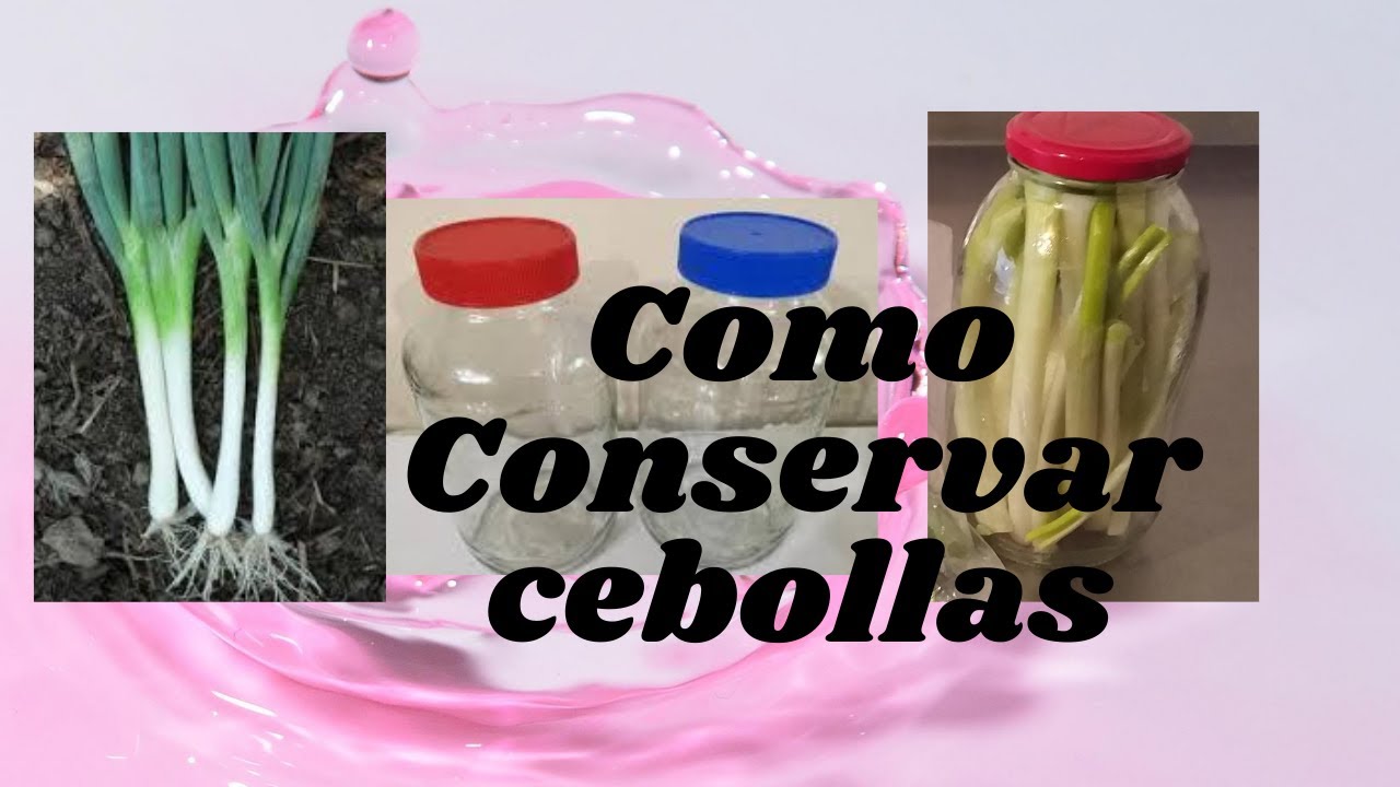 Como conservar Cebolla en Botella