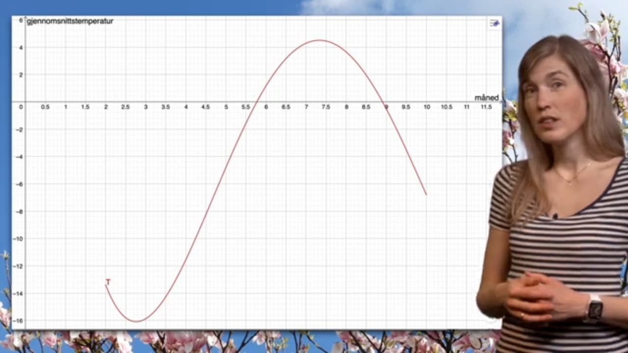 Matematikk 2P-Y: Eksamensoppgave om funksjoner