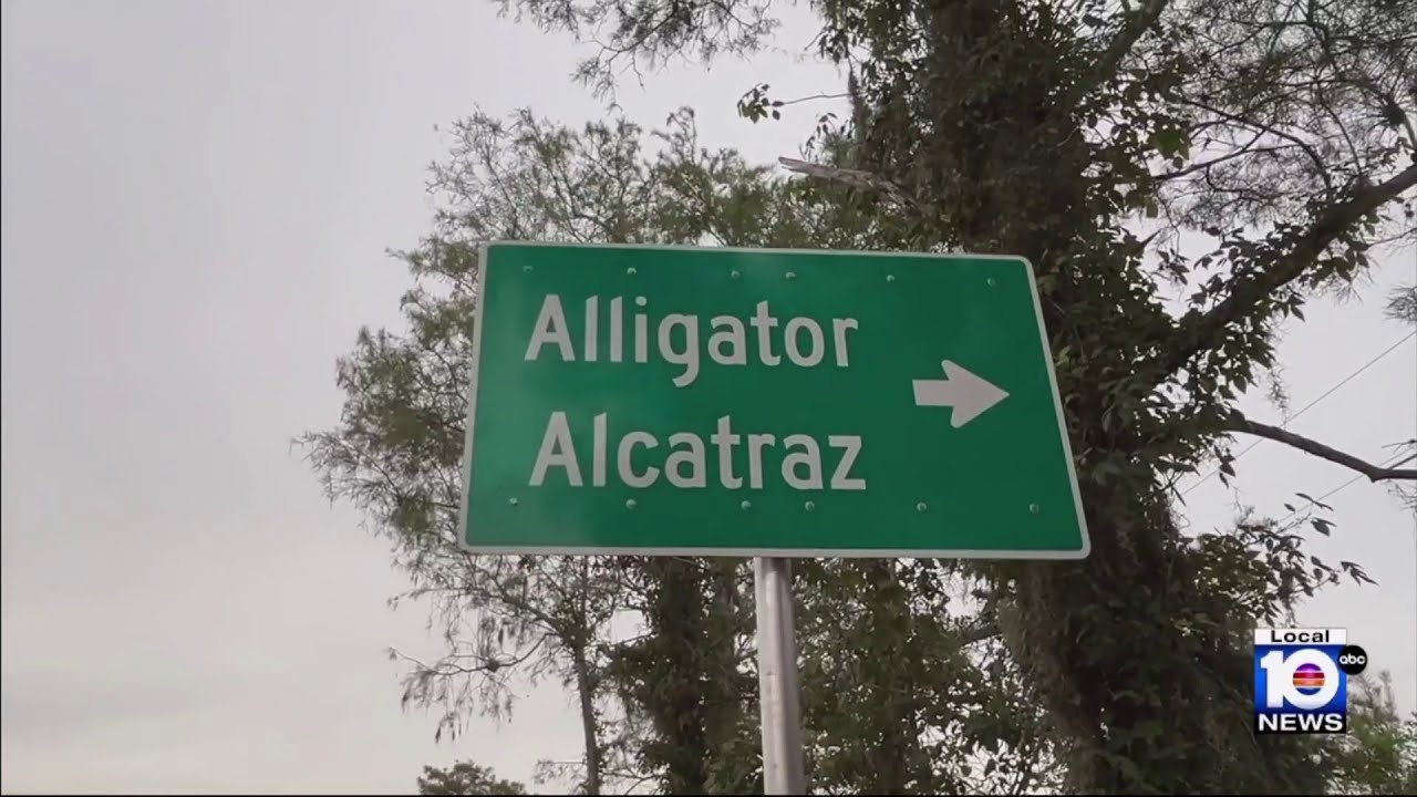 Migrants expected to arrive at 'Alligator Alcatraz' soon