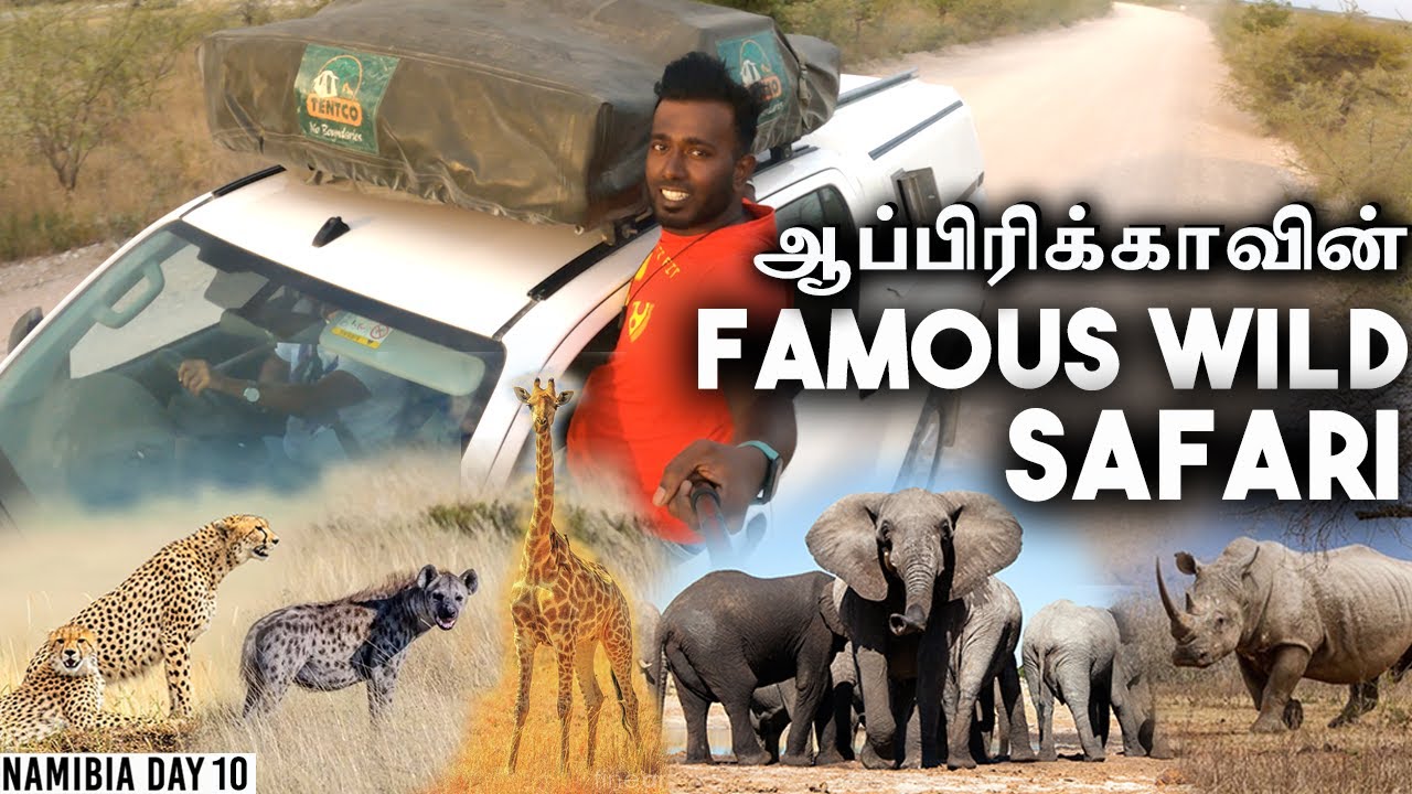 Close Encounter with CHEETAH & HYENA. காட்டில் Thrill அனுபவம் | Etosha | EP-10 #தமிழ்vlog #Namibia