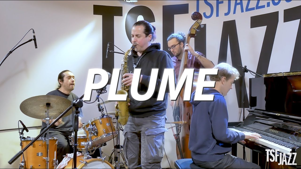 Plume 