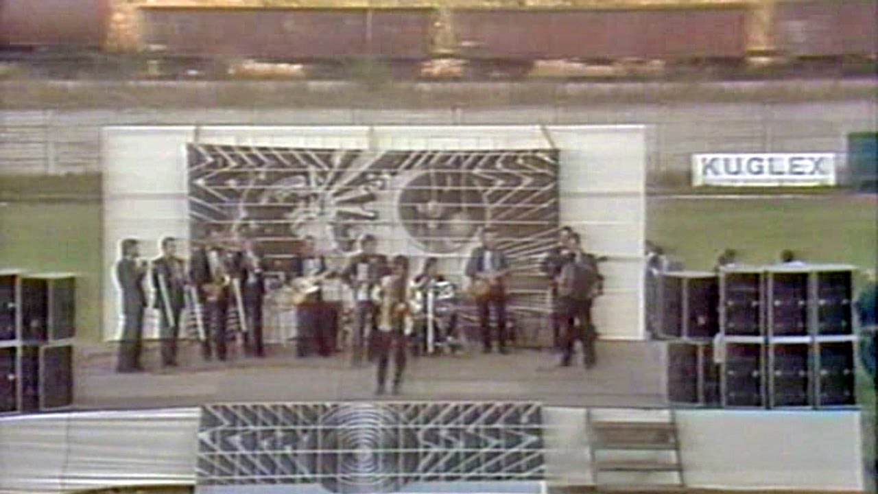 1989. Koncert u Rakovici