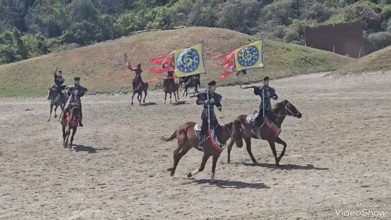제주도 말쇼 관람기
