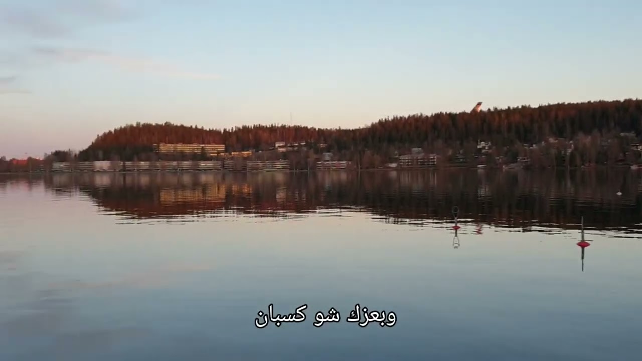 Dayeb Qalby Dayeb | Aicp Madih | دايب قلبى دايب