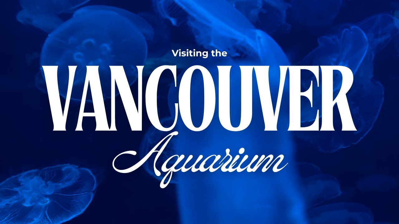 Acuario de Vancouver 🇨🇦 | El acuario más grande de Canadá
