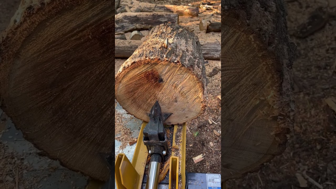 CountyLine 25 ton log splitter splitting a red oak round #shorts #firewood #chainsaw #outdoors