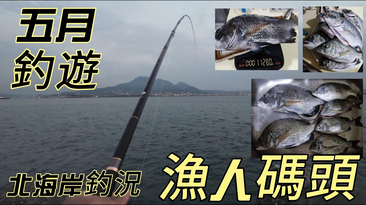 北海岸釣點,淡水漁人碼頭,釣遊,二斤黑鯛,釣點攻略,新手釣魚建議,北海岸釣況 釣黑鯛 #釣魚 #釣點 #釣況 #黑鯛 #磯釣 #淡水 #漁人碼頭
