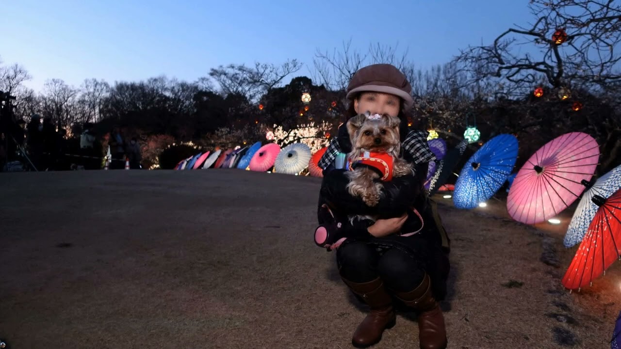 富士市「岩本山公園」で