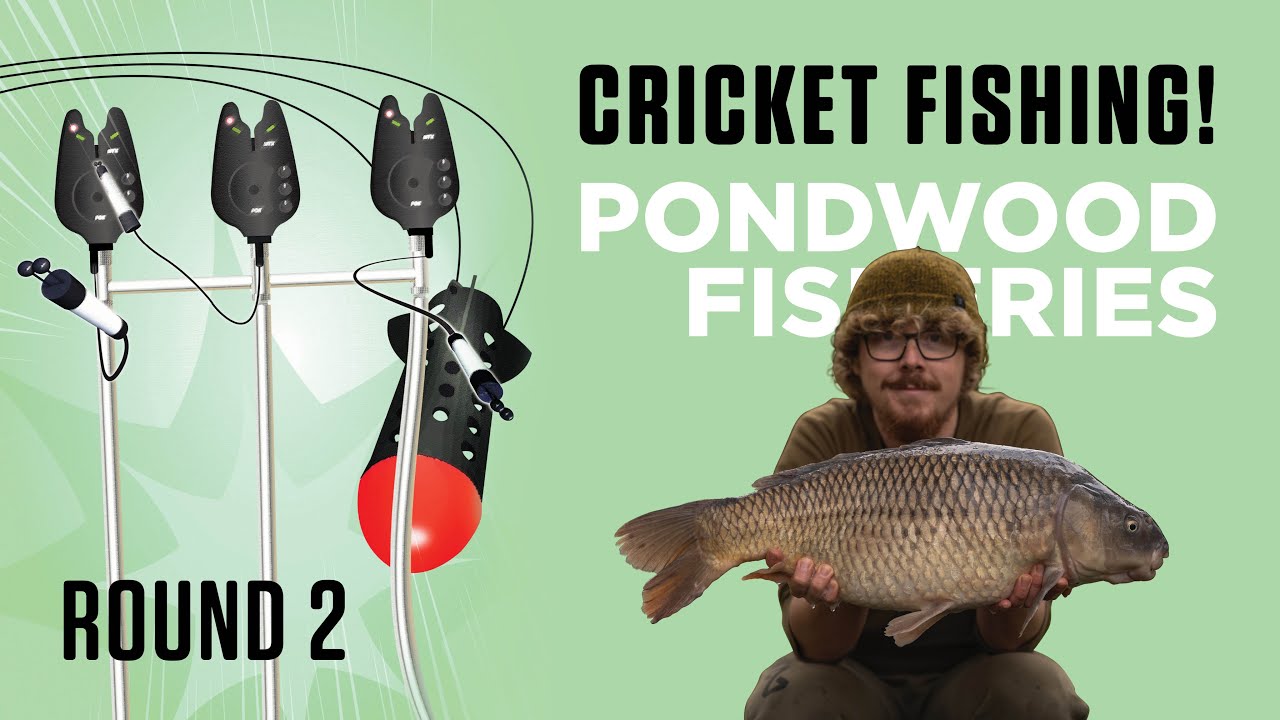 Cricket Fishing: Round 2! Pondwood Fisheries🏏🎣