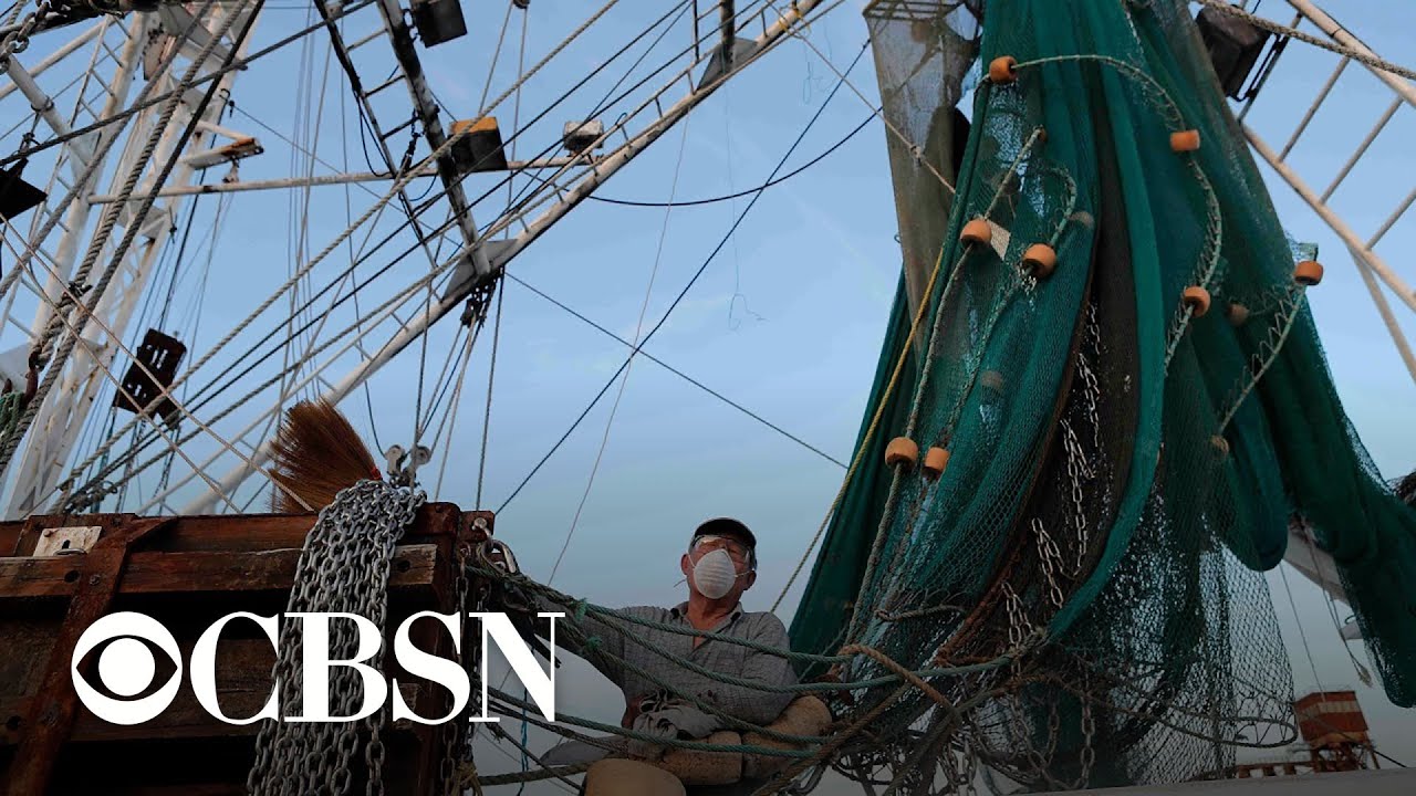 Farming and fishing among U.S. industries hardest hit by coronavirus lockdowns