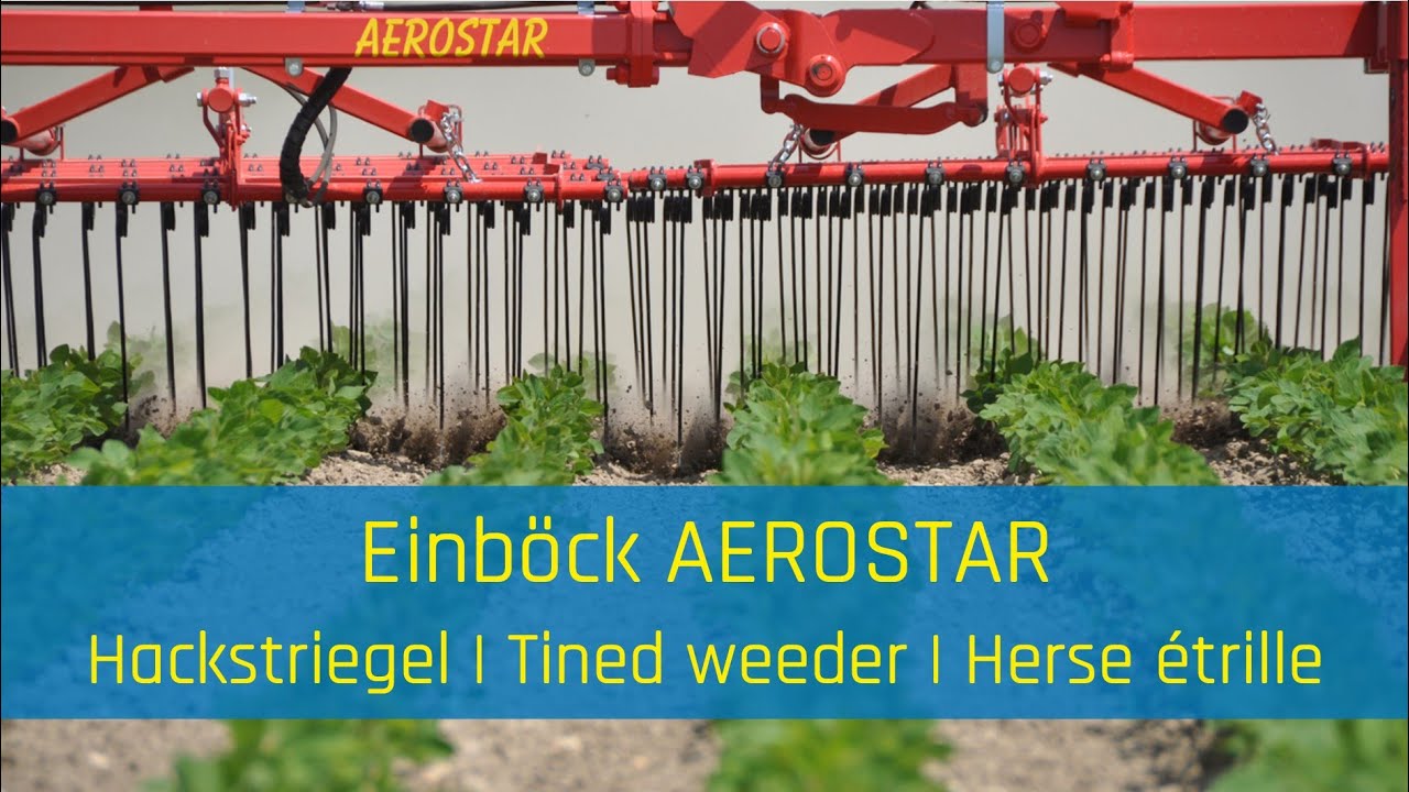 Hackstriegel | Tined weeder | Herse étrille EINBÖCK AEROSTAR-CLASSIC