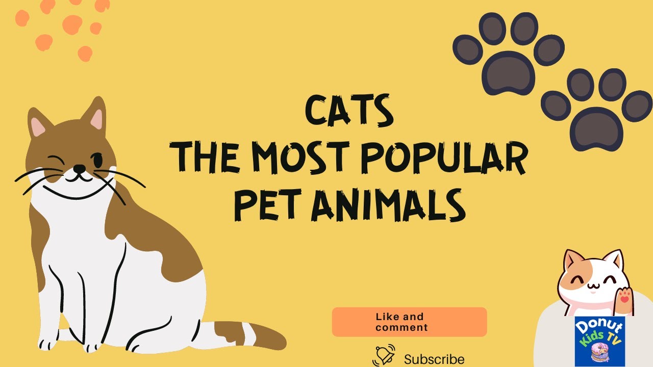 ALL ABOUT CATS FOR KIDS | CATS  FOR CHILDREN | CATS -  MOST POPULAR PET ANIMALS |  DONUT KIDS TV