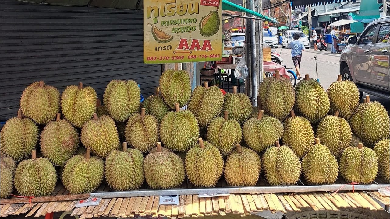 คัดเกรดAAA ทุเรียนหมอนทอง ระยอง !!!วันนี้เจ้มะปราง ปอกทุเรียนเองเลย #thailand