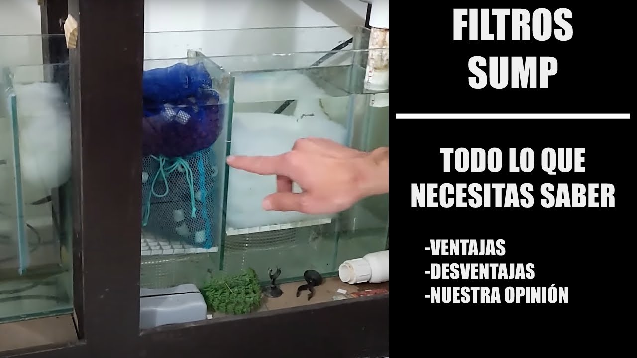 Antes de Comprar un Filtro, Ve Este Video | Filtro Sump, Todo lo que Necesitas Saber