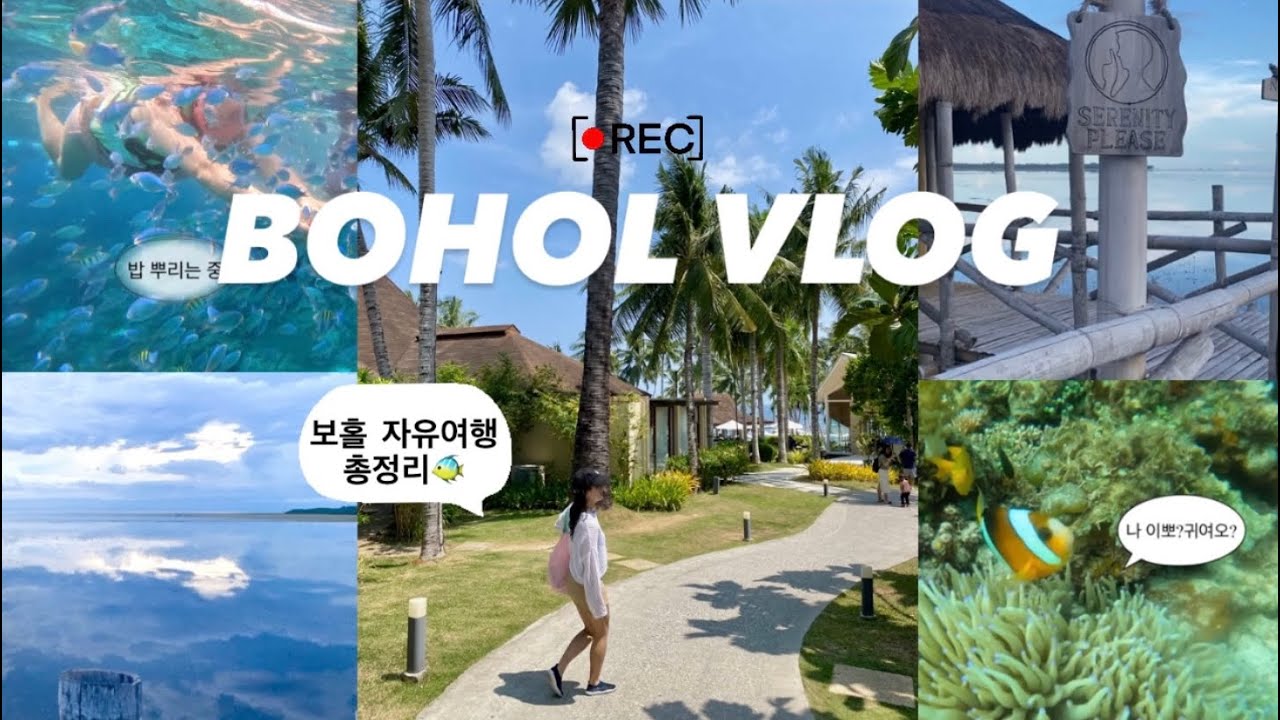 [Bohol Vlog]4박5일 보홀 자유여행 브이로그  ㅣ 스노쿨링에 미친자 ㅣ 나팔링 ㅣ 알로나비치 ㅣ 헤난타왈라 ㅣ 알로나파위칸리조트 ㅣ 맹그로브숲 뱀부워크 ㅣ 보홀맛집
