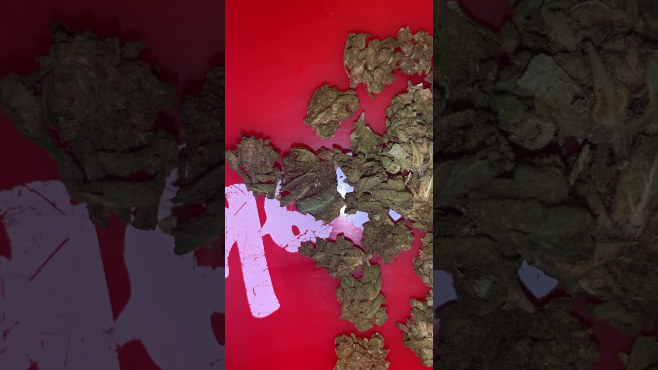 New pack from hemp flower co strand Pineapple Express #hempflowerco