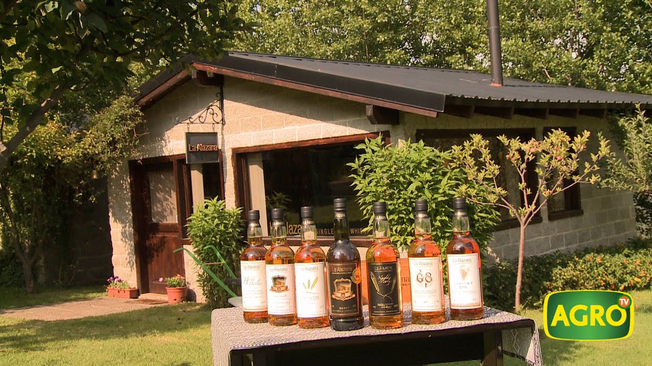 La Alazana: Whisky patagónico premiado y reconocido en el mundo (#866 2020-03-07)