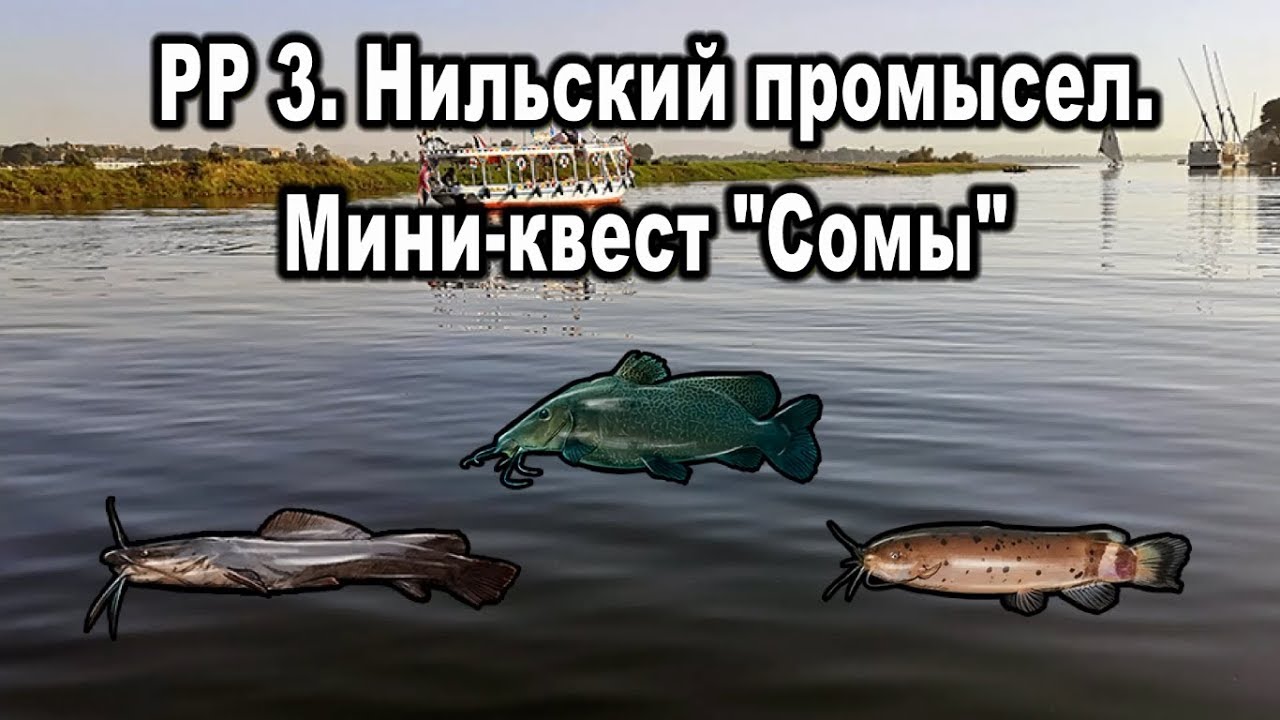 РР3. Нильский промысел. Мини-квест 
