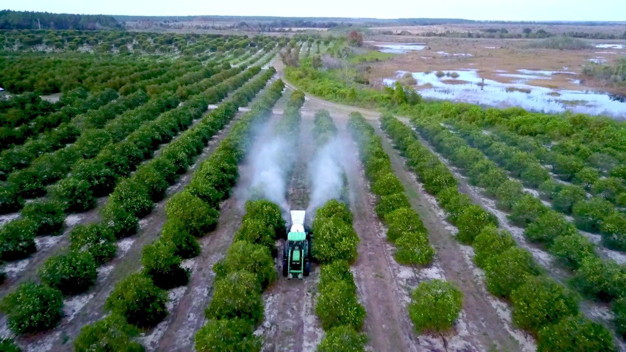 Citrus Sprayer