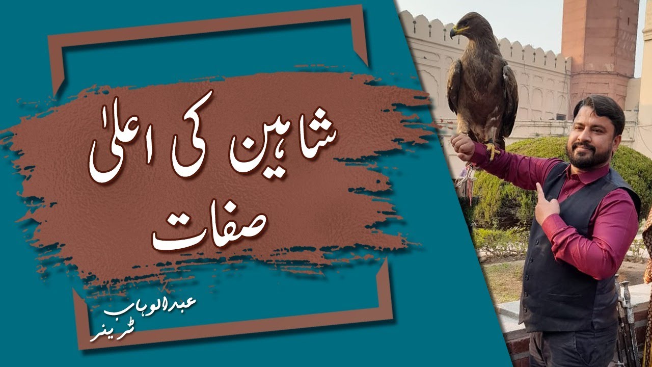 Allama Iqbal mentioned great Qualities of Shaheen by Abdul Wahab