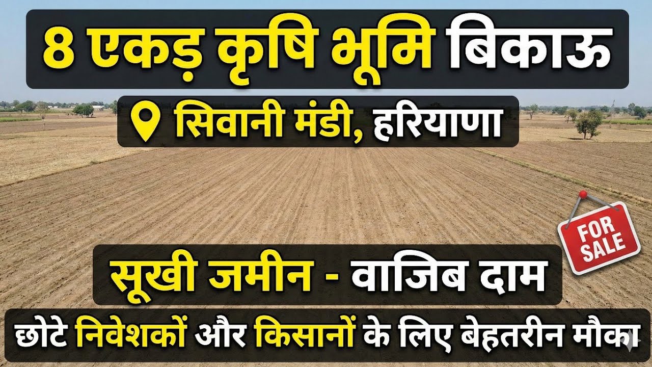 छोटे निवेशकों और किसानों के लिए मौका! | 8 Kila बरानी  Zameen | Siwani-Sidhmukh Road के पास # Land 