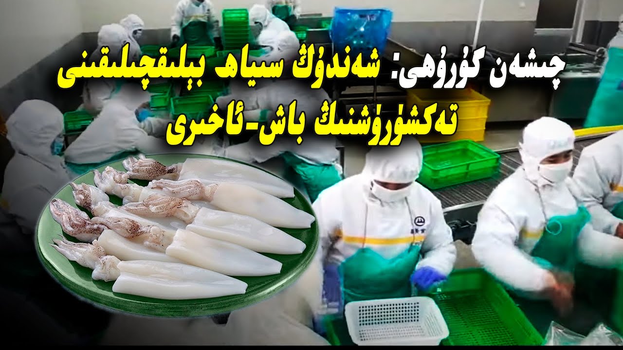 چىشەن گۇرۇھى: شەندۇڭ سىياھ بېلىقچىلىقىنى تەكشۈرۈشنىڭ باش-ئاخىرى