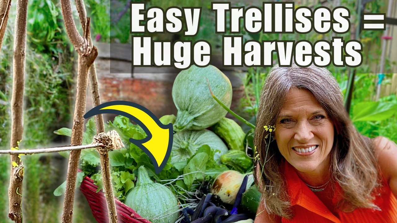 20 Easy Trellises for HUGE Harvests