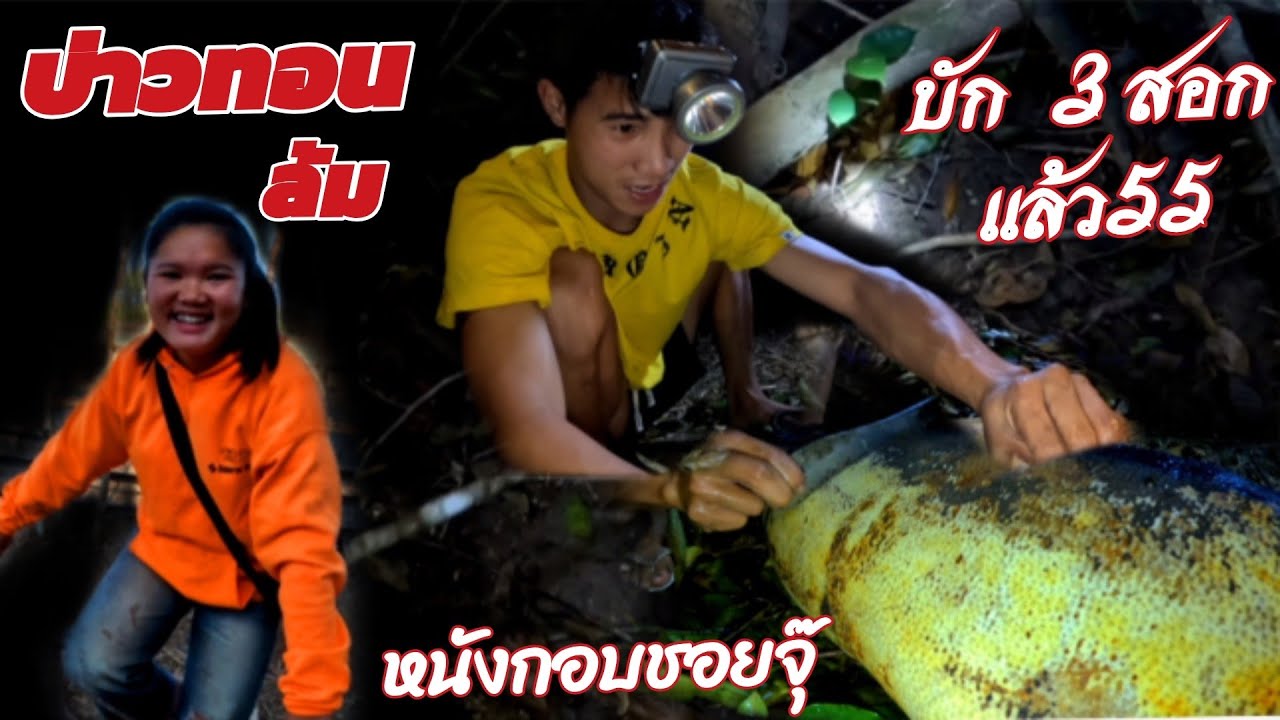 13 กุมภาพันธ์ ค.ศ. 2026