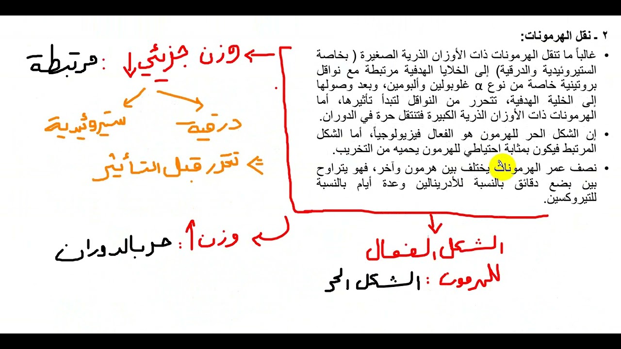 3) فيزيولوجيا الغدد - المقدمة والوطاء -  تشكيل وإفراز الهرمونات + مستقبلات الهرمونات الببتيدية 
