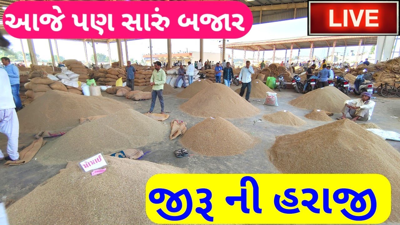 🔴 live cumin trading in jasdan APMC,November 11, 2022