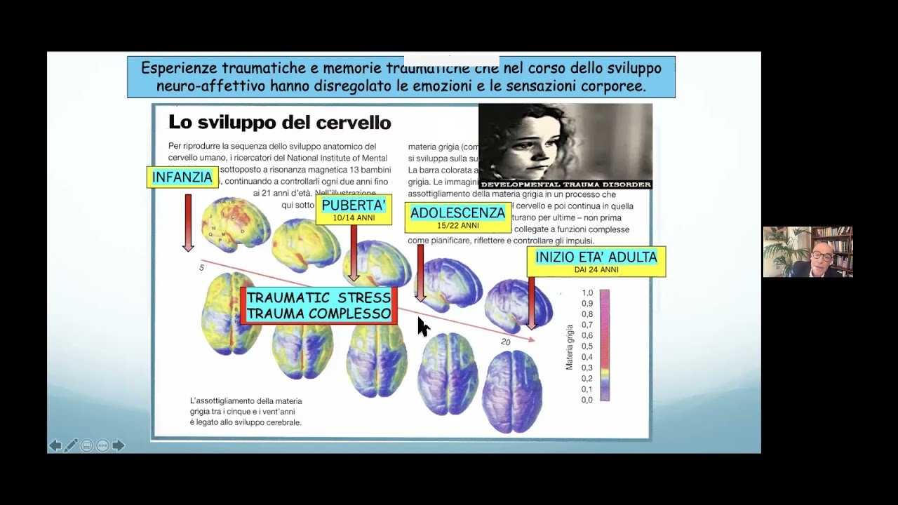 webinar IIPP prof  Caretti psicoterapia della regolazione emotiva