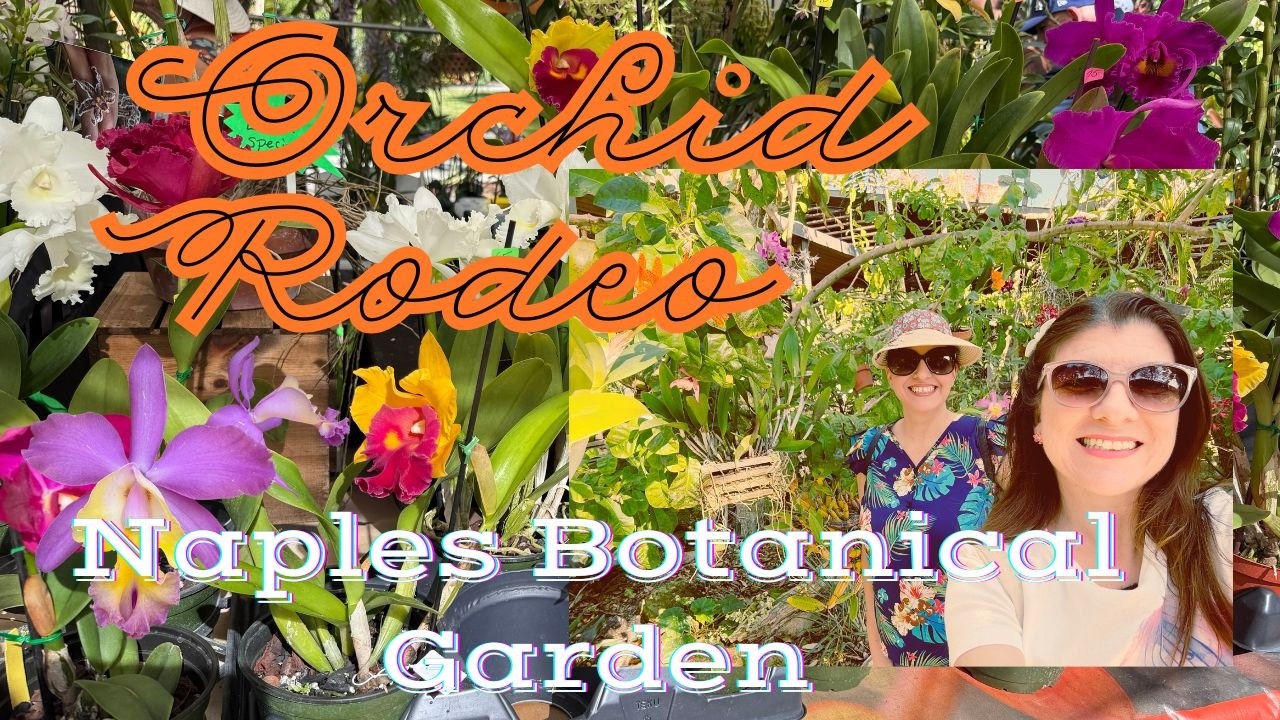 Orchid Rodeo at Naples Botanical Garden 🌸 | Naples Orchid Society Show & Vendors