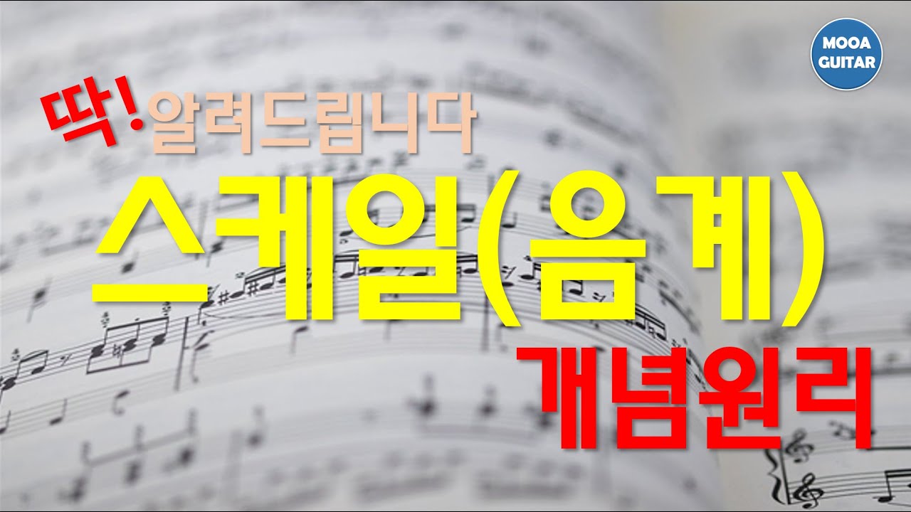 스케일이란 (스케일의 개념)