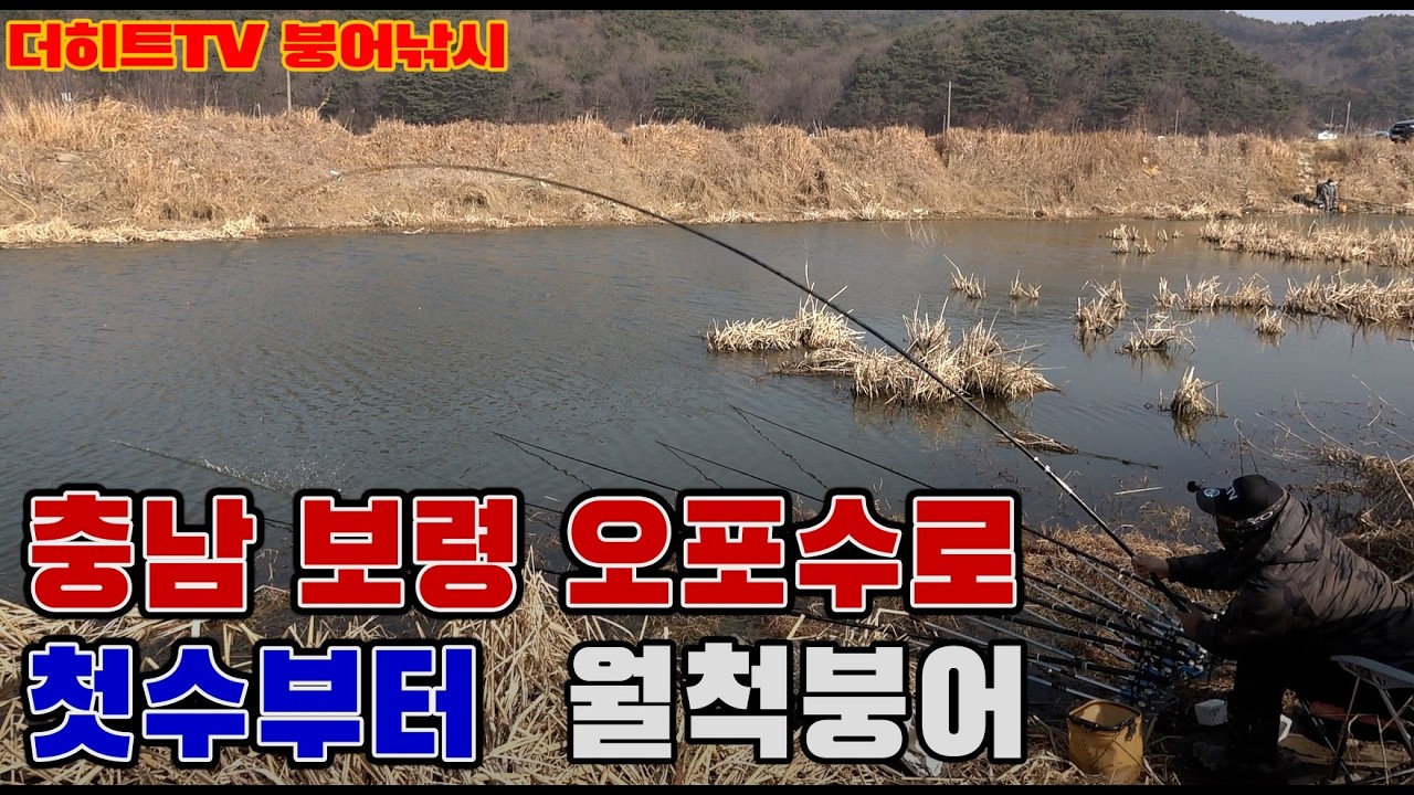충남 보령 오포수로. 해빙기 붕어낚시.2026.2 .21