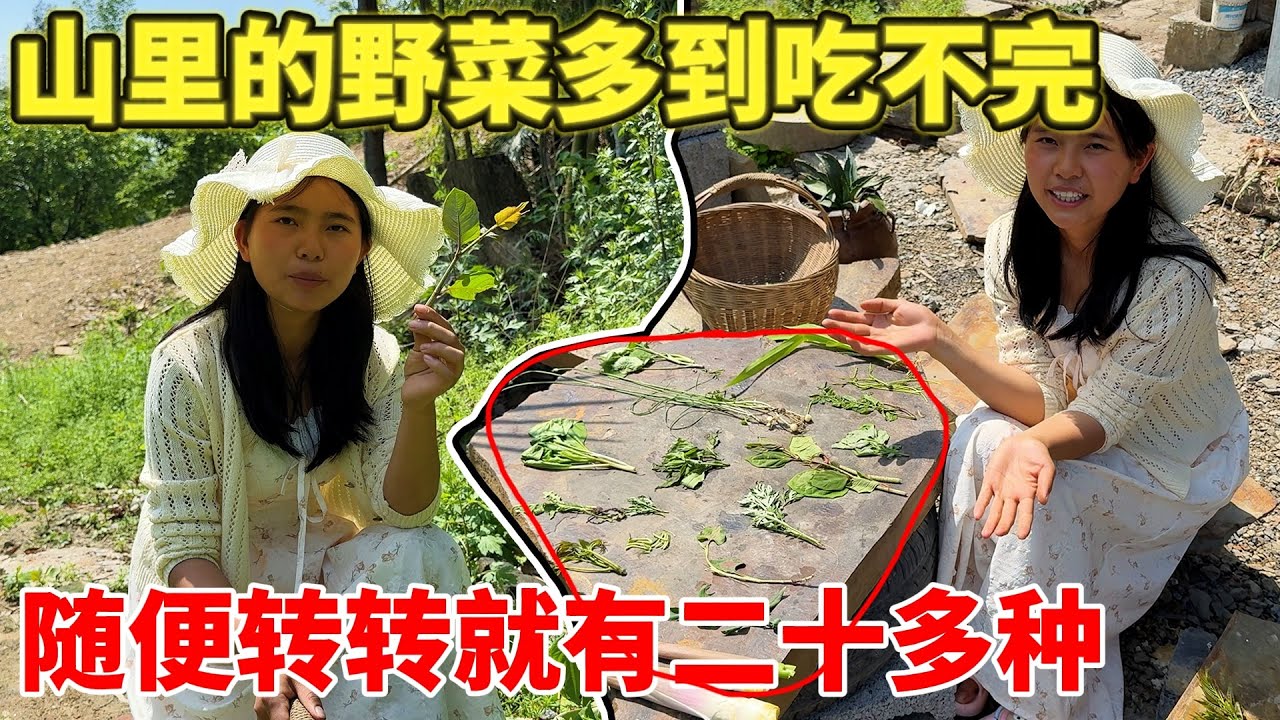 山里的野菜多到吃不完，随随便便就有二三十个，住在农村就是好  有吃不完免费蔬菜