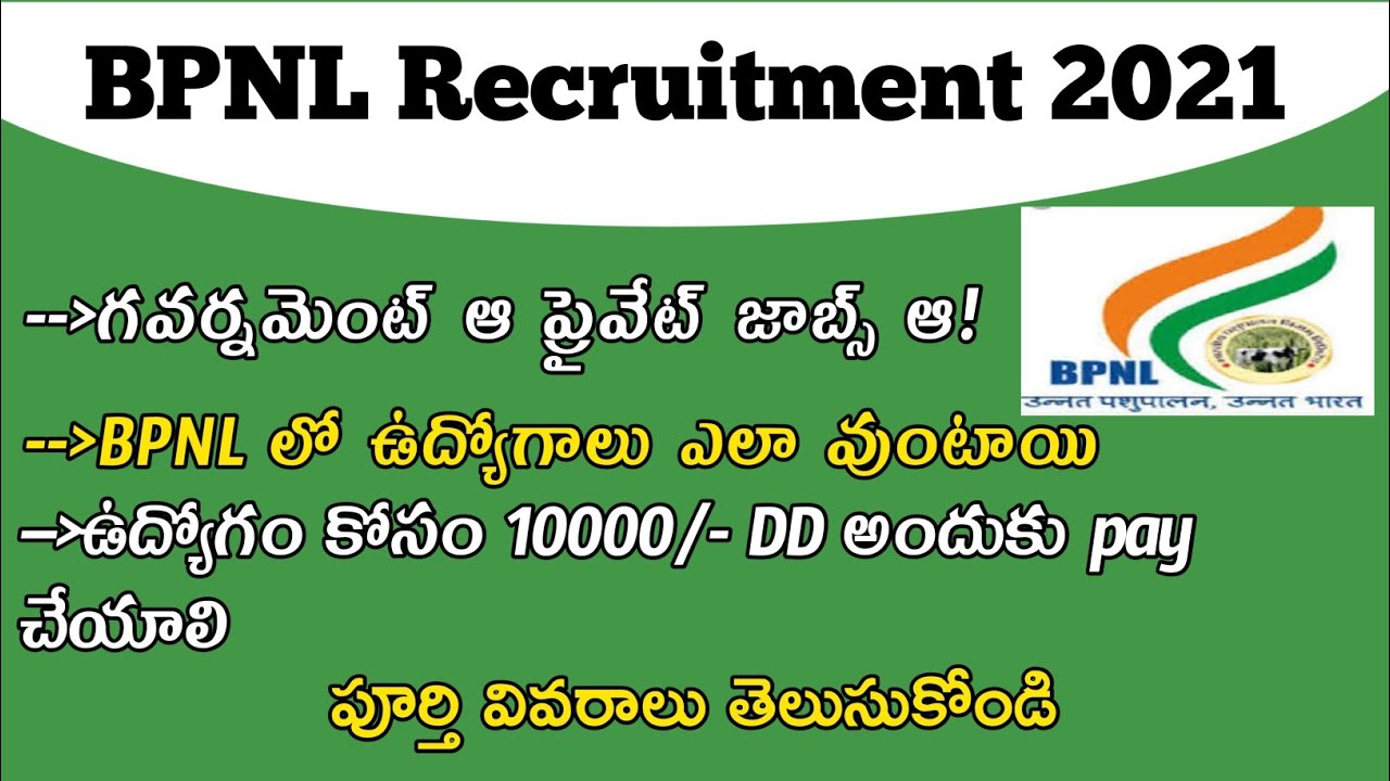 BPNL Recruitment all doubt clarity #Smartonline|bpnl govt or private jobs|about DD information|