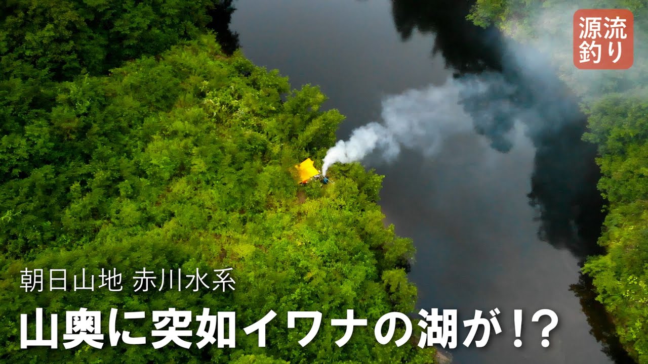 山奥に突如出現した、イワナの湖を目指せ！【朝日山地／赤川水系】Beautiful mountain stream fishing in Japan!