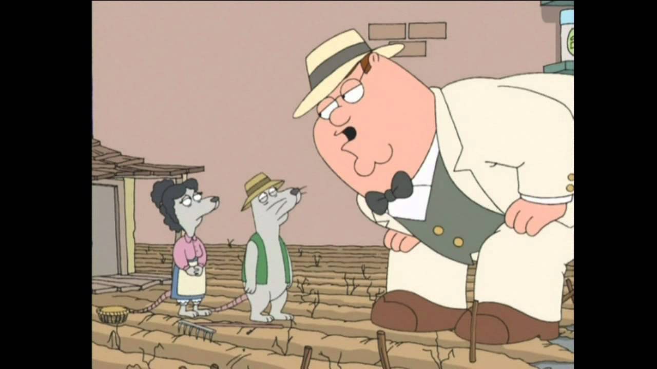 Rat farm in the basement.