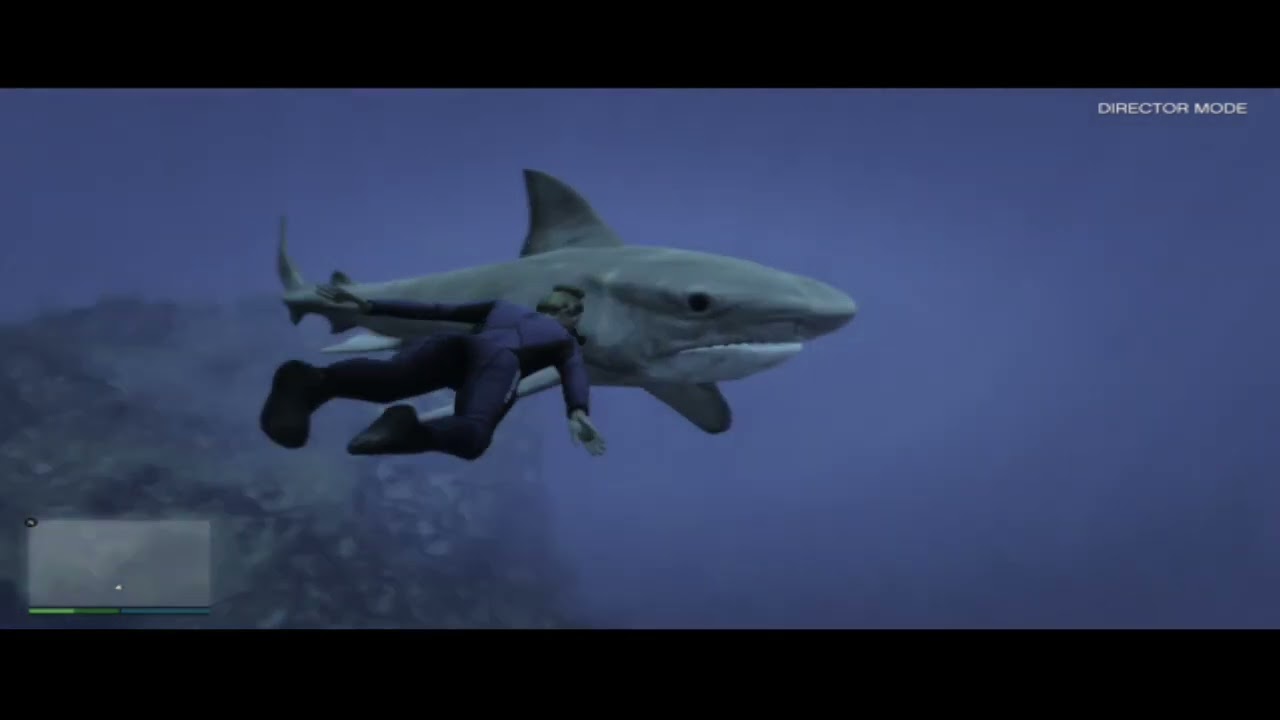 10ft 908 lb•tiger shark  documented•Gta v Director mode