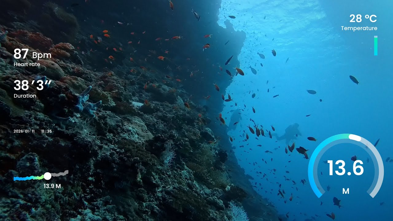 Dive 30 - Felicity Maldives - South Male Atoll - Villivaru Giri