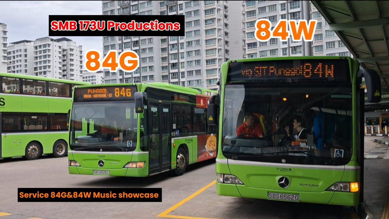 New Bus Service 84G and 84W on Operations, Music Showcase