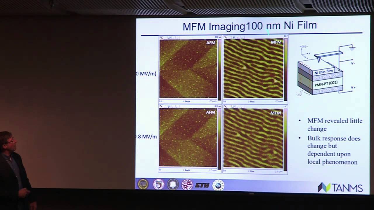 Future Nanoscale Multiferroic Devices