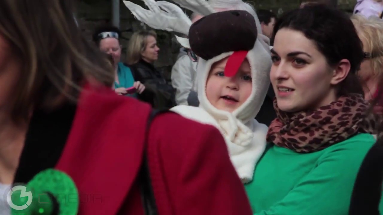 St Patrick's Day Ballina Killaloe 2015
