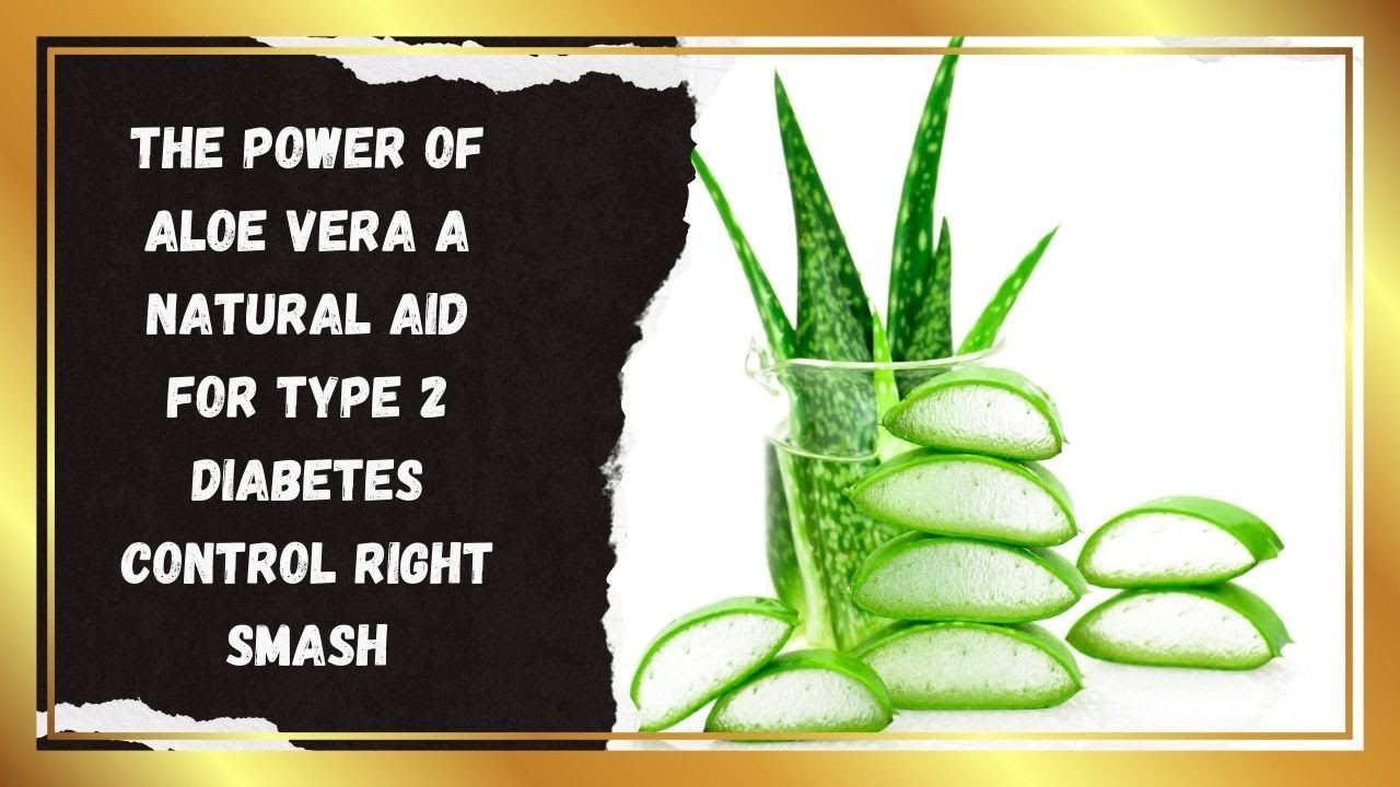 The Power of Aloe Vera A Natural Aid for Type 2 Diabetes Control Right Smash
