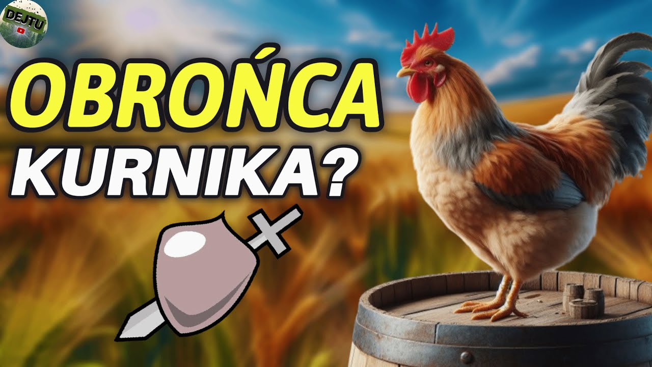 KOGUT W STADZIE?! Czemu warto go mieć! 🐔