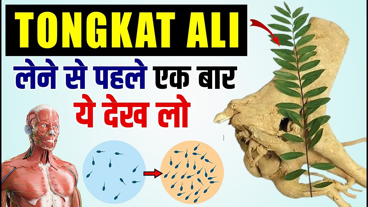 Tongkat Ali क्या है , फायदे और नुकसान | Tongkat Ali Benefits in Hindi