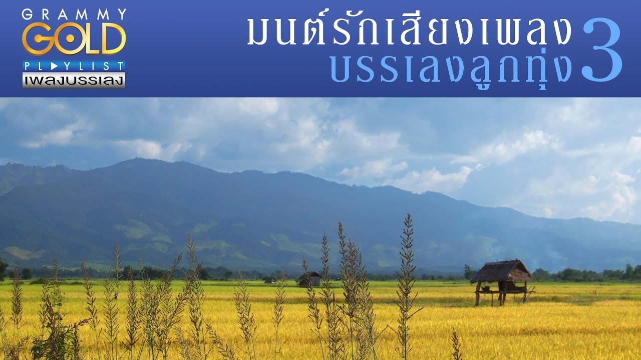 รวมเพลง : มนต์รักเสียงเพลง บรรเลงลูกทุ่ง 3