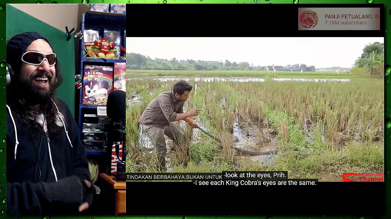 🐍PANJI PETUALANG🦎 Is The ''Indonesian Steve Irwin''