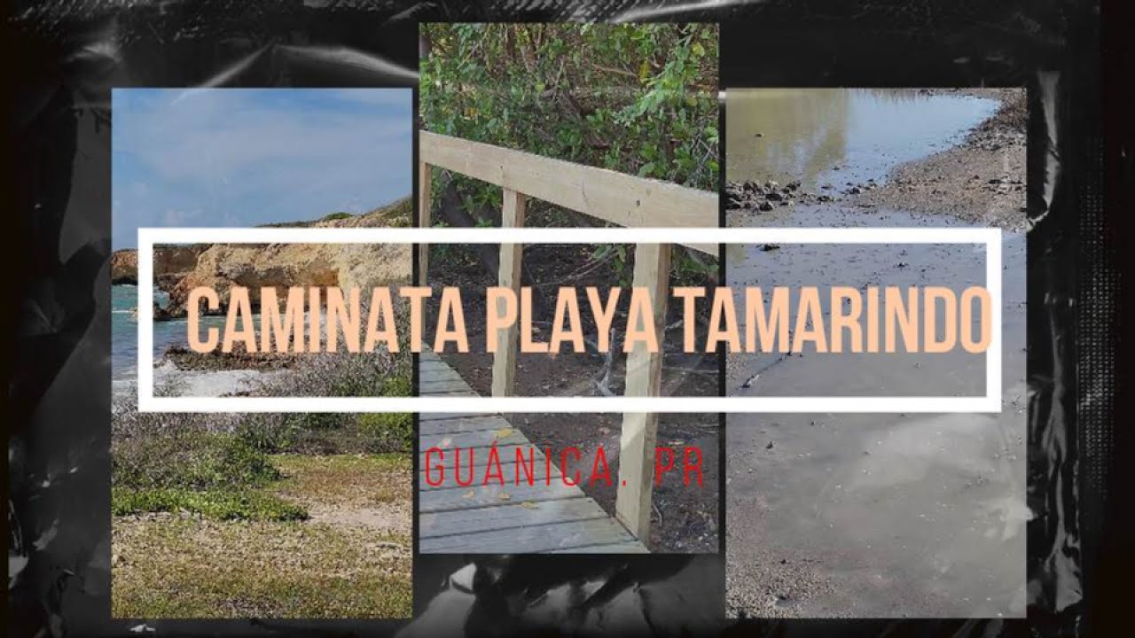 Caminata Playa Tamarindo   Guánica